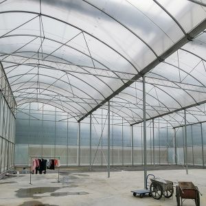 Excellent Natural Ventilation Sawtooth Greenhouse With Hot Dipped Galvanized