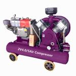 Portable Mini Air Compressor 11KW /15KW / 18.5KW / 22KW Industrial Machine Belt