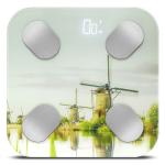 Real Landscape Printing Bluetooth Body Analysis Smart Scale