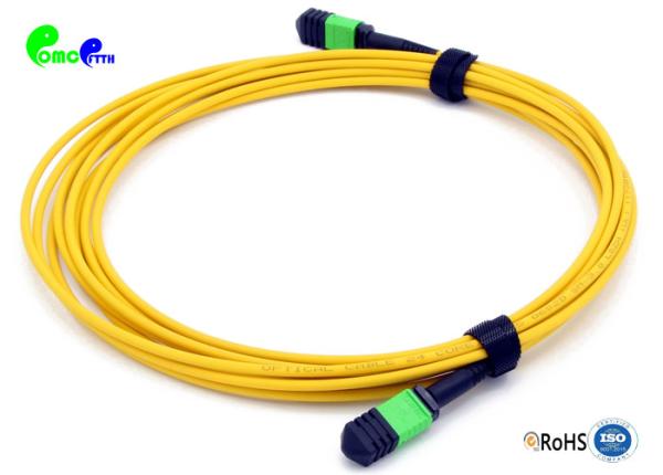 China SM 24F 10M MPO Female - MPO Female MPO Trunk Cable For 40G / 100G Data Center Solution factory