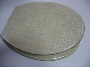 China resin toilet seat,17'18'19'Uropean standard,USA stardard,Mosaic picture factory