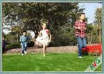 12000 Dtex Long Life Evergreen Landscaping Artificial Turf With 20 stitches/10cm