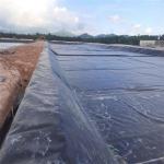 0.2mm-3mm Thickness HDPE Geomembrane for Fish Pond and Landfill Onsite