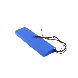 2500mAh Rechargeable Vehicle Lithium Battery Pack 2.8kg UN38.3