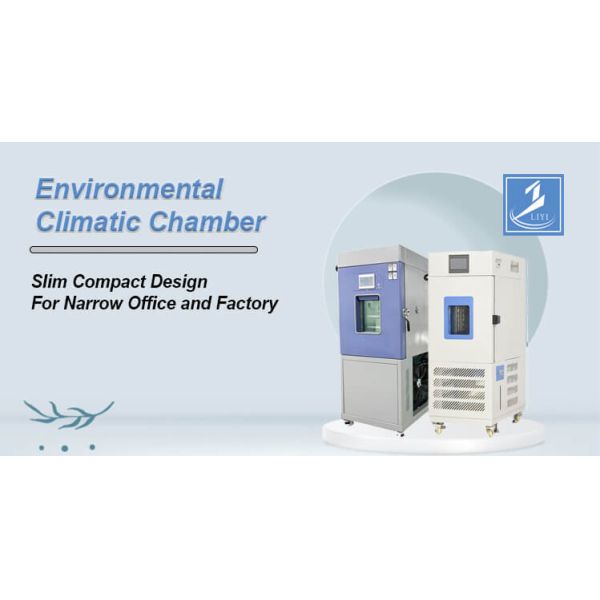 Liyi Customized Environmental Chambers Temperature and Humidity Control Cabinet Conditioning Chamber