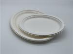 10/12 inch Biodegradable Sugarcane Bagasse Plates