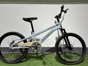 China Professional 20-26 Inch MTB Mountain Bikes Shimano Tourney Rear Derailleur and Disc Brakes factory