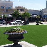 Beautiful Natural Looking Artificial Grass For Indoor Use Realistic Recycled