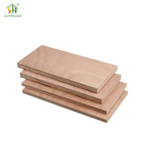 China 1200x2400mm Eco Friendly Plywood Eucalyptus Core 4x8 Plywood Board For Office Partitions factory