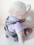 2016 Tatty Teddy Bear Good Hearted Lucky Toy For Kindness Person Good Wished