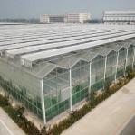 Automatic Control Intelligent Agricultural Glass Greenhouse For Sale Farm