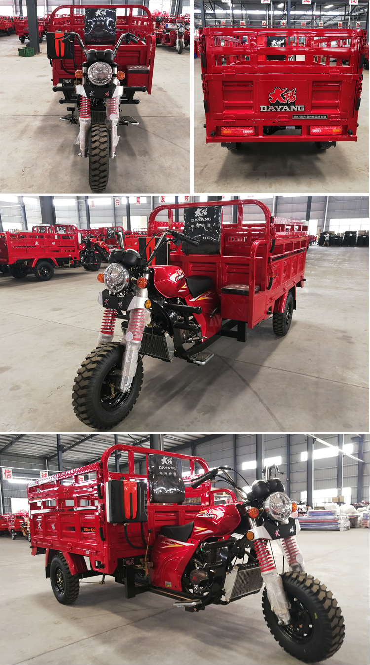 175cc Engine 2021 Chongqing DaYang Motorized Cargo Tricycle for Multiple Applications