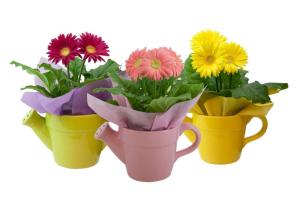 China Solid Color Glazed Ceramic Planters Can Shaped Flower Pot For Indoor / Outdoor factory