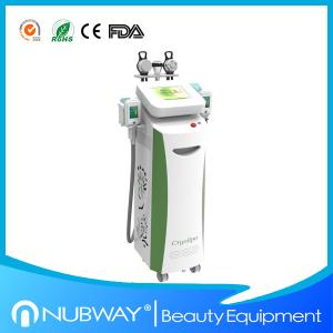 China Professional Cryolipolysis Slimming Machine / High Quality Cryolipolysis Machine factory