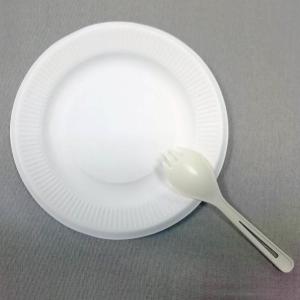 China 5 inch sugarcane compostable plates Natural plant fibers Plate, eu standard food dish biodegradable party plate factory