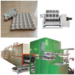 Low Power PLC Control Paper Pulp Tray Making Machine With Online Technical