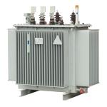 S14-M Oil Iron Core Transformer 1600KVA Electric Power Transformer