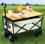 Removable Canopy Green Iron Collapsible Wagon Cart for Outdoor Sports and