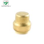 1/2" 3/4" 1" Forged Brass Plugs Fittings Push Fit Fitting