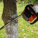 CE Approved Wood Gasoline Chain Saw Machine 2.4kw 52cc