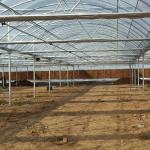 Large Size Clear Plastic Film Greenhouse Multi Span 3-6m Gutter Height
