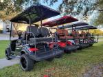 TOP Golf Car Six Seater Electrical Golf Cart EV4+2G Customize Color Upgradeable