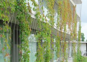 China Plant Climbing Metal Garden Wire Trellis / Stainless Steel Ferrule Rope Mesh factory