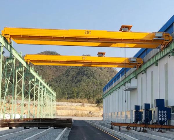 European FEM Standard Double Girder Crane Efficient Lifting Modular Structural