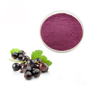 China Concentrated Juice Black Currant 10% Anthocyanin Extract Powder factory