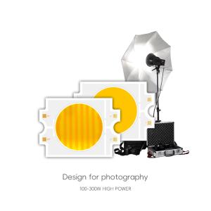 China Lamp Bead Source Led Chip 300W +300W High Power Lamp 95Ra Cob Chip Lamp Bead Photography factory