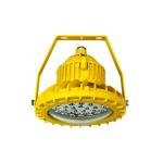 120 Volt Led Marine Flood Lights Dimmable LED Flood Light 10W-100W IP65/66/67