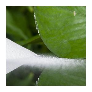China High Stability PVC Copolymer Resin 1-2 Um Diameter For PVC Coated Products factory