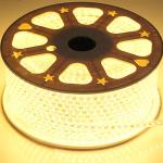 110V SMD2835 Flexible LED Strip Lights 16.4Ft Warm White No UV