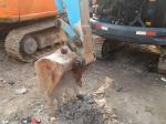 Used Hitachi EX50U excavator