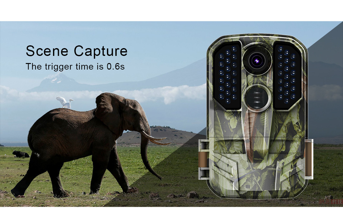 32mp Infrared Night Vision Critter Cameras 10fps Infrared Wildlife