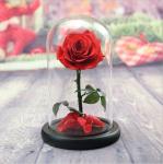 Preserved Fresh Flower Live Enchanted Rose in Glass Dome Cover with Gift Box