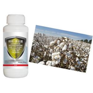 China SC Formulation Cotton Crop Organic Pesticides Agriculture Pest Killing Bollworm Virus Extract factory
