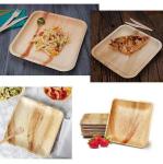 Biodegradable Disposable 10 Inch Square Areca Palm Leaf Plates For Corporate