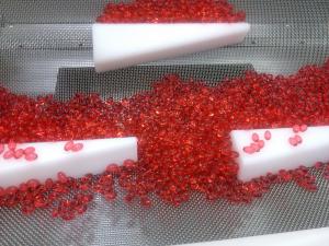 China Vegan Encapsulation Machine factory