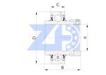 Insert Ball Bearing CHC 205-16 Pillow Ball Bearing CHC 20516 Insert Ball Bearing