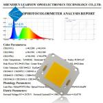 COB LED CHIP High Power 4046 50W 100W 150W 200W Diode for Street Flood Light