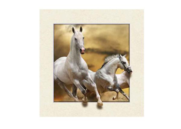 Stock Horse Image 5D Pictures Lenticular Photo Printing PET/PP Lenticular