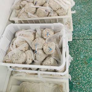 China AA A B Grade Lamb Sausage Casing factory