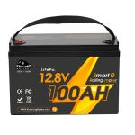 Customized Electric Boat Lifepo4 Battery Pack 12V 24V 36V 48V 60V Volt Lithium