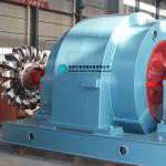 Hot Sale Intelligent Hydropower Plant 2 nozzles 1000kw Pelton Turbine for High