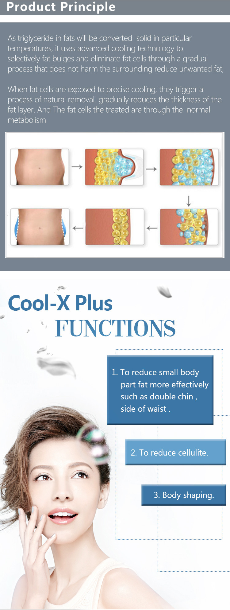 LF-219 Factory Price 4 handles Cryolipolysis Machine/Cool Body Beauty Equipment