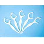 Factory Price Oral Care Eco Friendly Advanced Clean Toothpick Dental Flosser