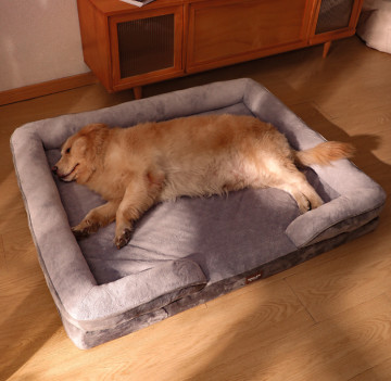 modern pet beds