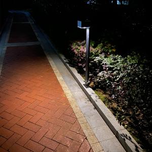 China Courtyard Outdoor Solar Pathway Light 60LM Waterproof LED Landscape Lighting factory