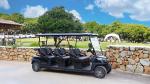 Tourist Sightseeing Electric Golf Buggy 6 Seats